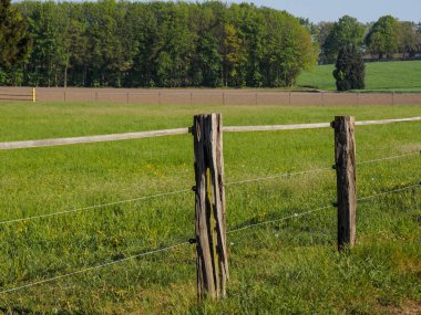 Westphalia Reken yakınlarındaki doğa