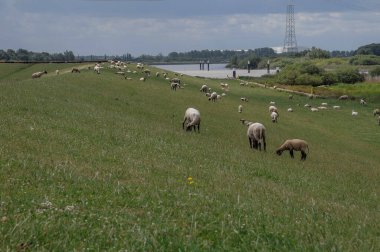 EM nehrinde sosis