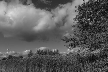 Westphalia 'da sonbahar zamanı