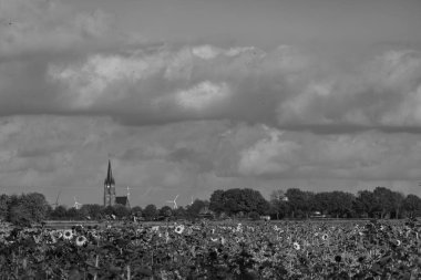 Westphalia 'da sonbahar zamanı