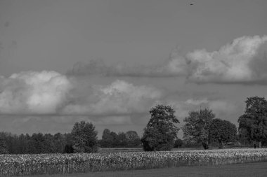 Westphalia 'da sonbahar zamanı