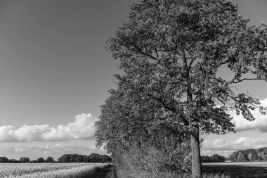 Westphalia 'da sonbahar zamanı