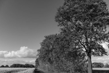 Westphalia 'da sonbahar zamanı