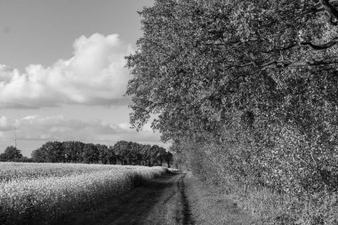 Westphalia 'da sonbahar zamanı