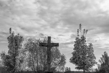 Velen şehrinin yakınlarındaki Westphalia 'da sonbahar mevsimi