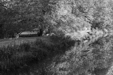 Ren nehrinde sonbahar vergisi