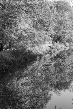 Ren nehrinde sonbahar vergisi