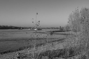 Ren nehrinde sonbahar vergisi