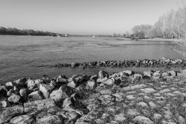 Ren nehrinde sonbahar vergisi