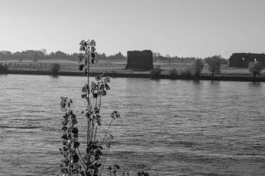 Ren nehrinde sonbahar vergisi