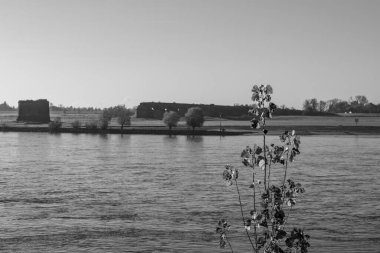 Ren nehrinde sonbahar vergisi