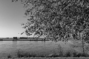 Ren nehrinde sonbahar vergisi