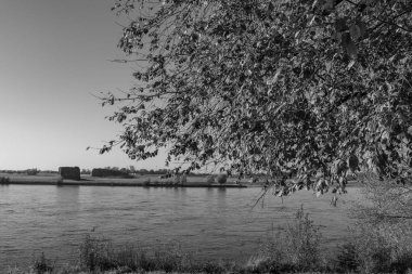 Ren nehrinde sonbahar vergisi