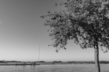 Ren nehrinde sonbahar vergisi