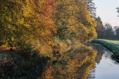 Ren nehrinde sonbahar vergisi