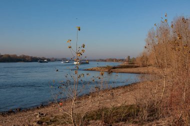 Ren nehrinde sonbahar vergisi