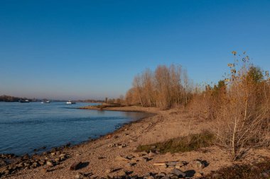 Ren nehrinde sonbahar vergisi