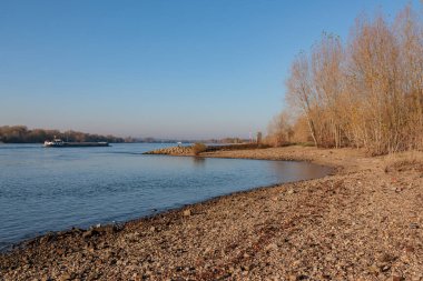 Ren nehrinde sonbahar vergisi