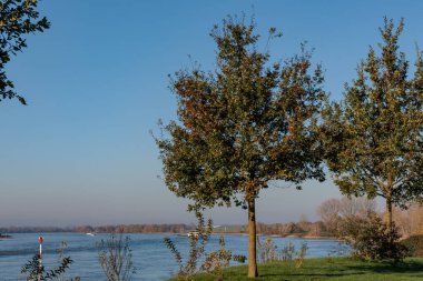 Ren nehrinde sonbahar vergisi