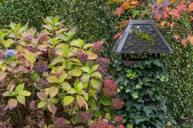Bir Alman bahçesinde sonbahar zamanı