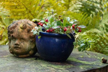 Bir Alman bahçesinde sonbahar zamanı
