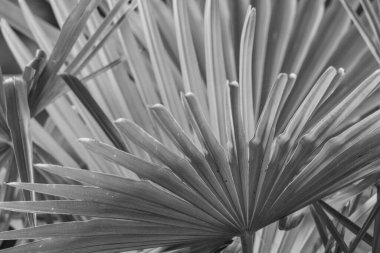 Bir Alman bahçesinde sonbahar zamanı