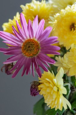 Bir Alman bahçesinde sonbahar zamanı