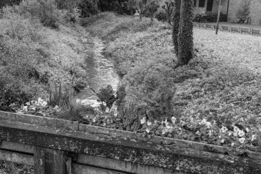 Alman Muensterland 'inde sonbahar zamanı