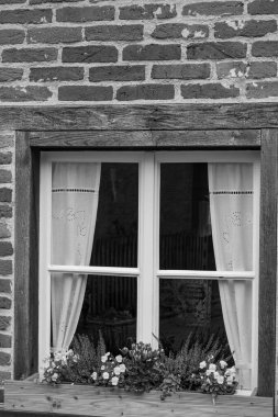 Alman Muensterland 'inde sonbahar zamanı