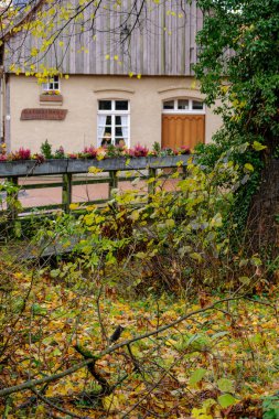 Alman Muensterland 'inde sonbahar zamanı