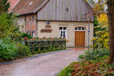 Alman Muensterland 'inde sonbahar zamanı