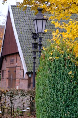 Alman Muensterland 'inde sonbahar zamanı