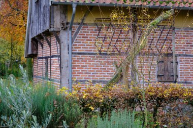 Alman Muensterland 'inde sonbahar zamanı