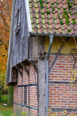 Alman Muensterland 'inde sonbahar zamanı