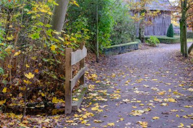 Alman Muensterland 'inde sonbahar zamanı