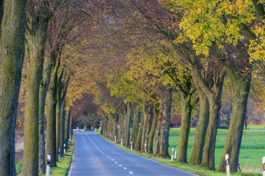 Westphalia 'da sonbahar sokağı
