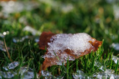 Bahçede soğuk bir gün