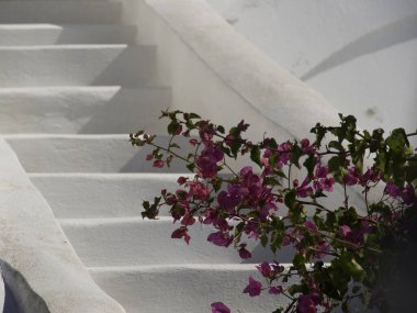 Yunanistan 'daki Santorini Adası