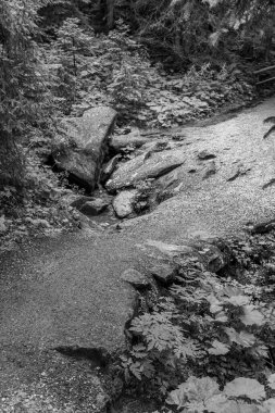 Mittersill Avusturalya Alplerinde