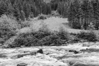 Mittersill Avusturalya Alplerinde