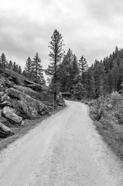 Mittersill Avusturalya Alplerinde