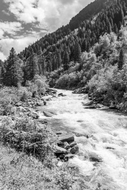 Mittersill Avusturalya Alplerinde