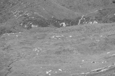 Mittersill Avusturalya Alplerinde