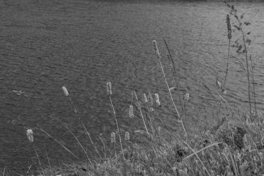 Mittersill Avusturalya Alplerinde