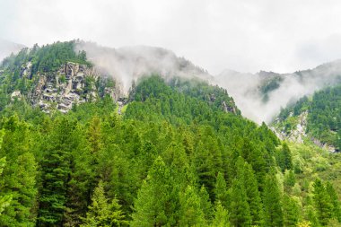 Mittersill Avusturalya Alplerinde