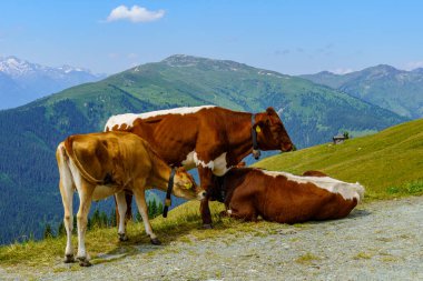 Mittersill Avusturalya Alplerinde