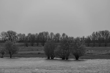 Hollanda Gelderland 'inde nijmegen