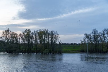 Hollanda 'daki Nijmegen şehri
