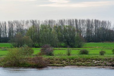Hollanda 'daki Nijmegen şehri