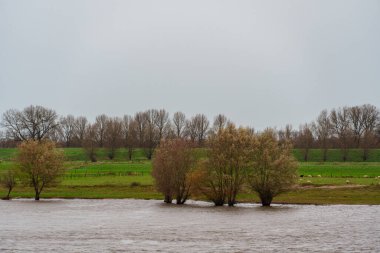 Hollanda 'daki Nijmegen şehri